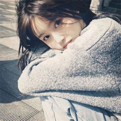 情谜郁金香