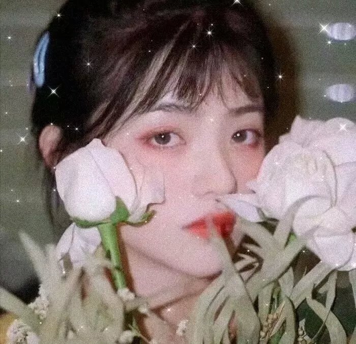 被咒之爱